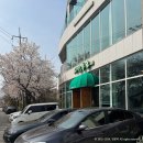 나만 | 세종 금남면 벚꽃뷰 나만,봄 카페 방문 후기