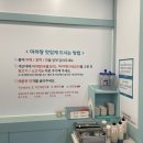 마라이즈(is)청춘 네이버블로그
