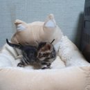 부산뱅갈하우스 이미지