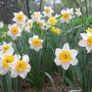 형일초교 이미지