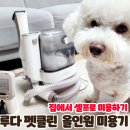 루다펫 네이버블로그
