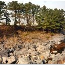 내도알작지 이미지