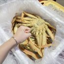 9월27일.활전어,뻘낙지,돌미역,왕새우,홍어회,해신탕,민물장어,대홍게,오징어,붕장어,하모샤브,회,새우살,건오징어,꽃게,대게,코다리,배오 이미지