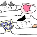 배달삼겹직구삼(교동점) 이미지