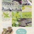 청정한의원 이미지