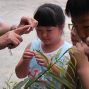 장현초등학교 이미지