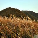 섬진강나루 이미지