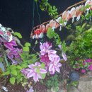 은지가든 이미지