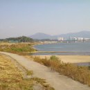 다함행정사사무소 이미지