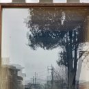 뮤지엄 한미 이미지