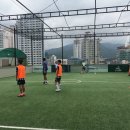 손대호에프씨