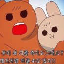 싱싱장어 이미지