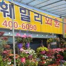 훼밀리화원