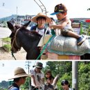 당나귀숲 이미지