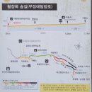 치악산둘레길 11코스 한가터길 | [원주]치악산 세렴폭포&amp;둘레길11코스(한가터길)