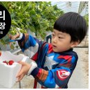 온누리2농장 이미지