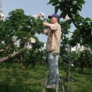 정빈농장 이미지