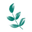 천사약국 이미지