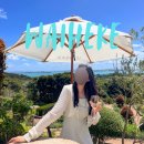 투어바인 | 여행지 추천 와이헤케섬 와이너리 투어 후기 (스토니릿지 바인야드, 머드브릭 바인야드 mudbrick vineyard)