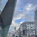 비엔나유치원 | 아일랜드 워홀 34주차 (크리스마스 홀리데이 🧑🏻‍🎄- 비엔나)