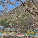 온천강변길2 이미지