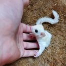 로던트클럽 화정 본점 이미지