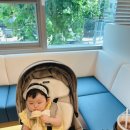 강서쥬니어치과의원 이미지