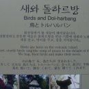 돌하르방미술관 이미지