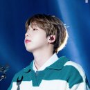 플레로마 이미지