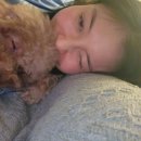 세온동물병원 이미지