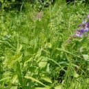 심호당한의원 이미지