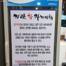 가야참가자미회 이미지