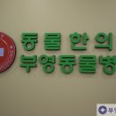 부영동물병원 네이버블로그