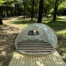 그늘막110 이미지