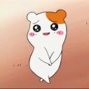 센터원웰니스 이미지
