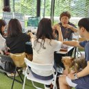 놀다가시개 이미지