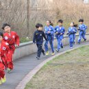 백호태권도 이미지