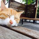 리라이름유치원 이미지