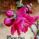 행복한부자 이미지
