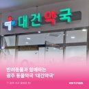 대건약국 이미지