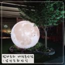 탐라포차 둔산점 | 감성조화인테리어 조경장식 대전 탐라포차 둔산점! 인조나무 조화나무