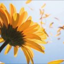 분평초교 이미지