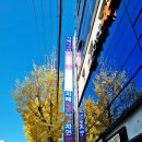 부산엔도내과의원 | 부산 탈모 병원 자혜내과의원 내돈 후기