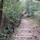 수품리웰빙등산로 이미지