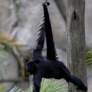 먹고힘내 이미지