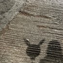 수연민박 이미지