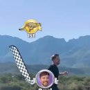 [제2편] MrBeast VS Dog Rich "Racing a cheetah… and Rich is fast too! ⚡" 이미지