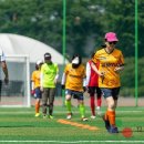 조이포커스 이미지