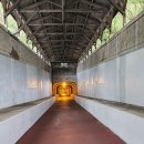 해저터널 | 통영 가볼만한곳 해저터널 후기, 무료입장과 포토존 꿀팁