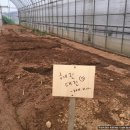 혜진농장 이미지